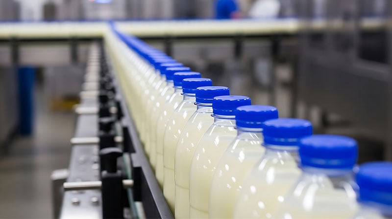 Milk-Bottles-with-Blue-Caps-Moving-on-a-Conveyor-Belt