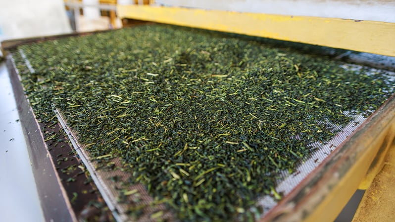 Special equipment for rolling, sorting, cleaning and drying tea leaves