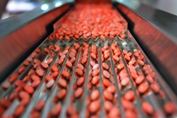 Close-up of a stainless steel slide with red pills sliding down it.