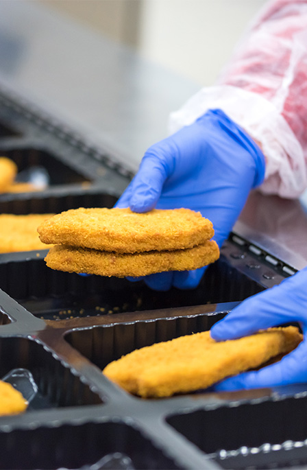 prepared food in trays prepared food in trays