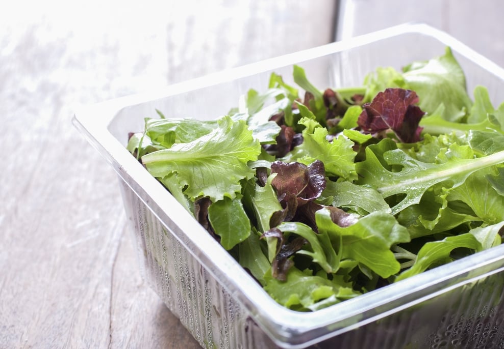 salad in plastic container